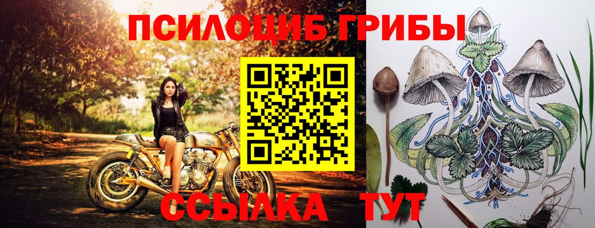 Псилоцибиновые грибы GOLDEN TEACHER Ипатово